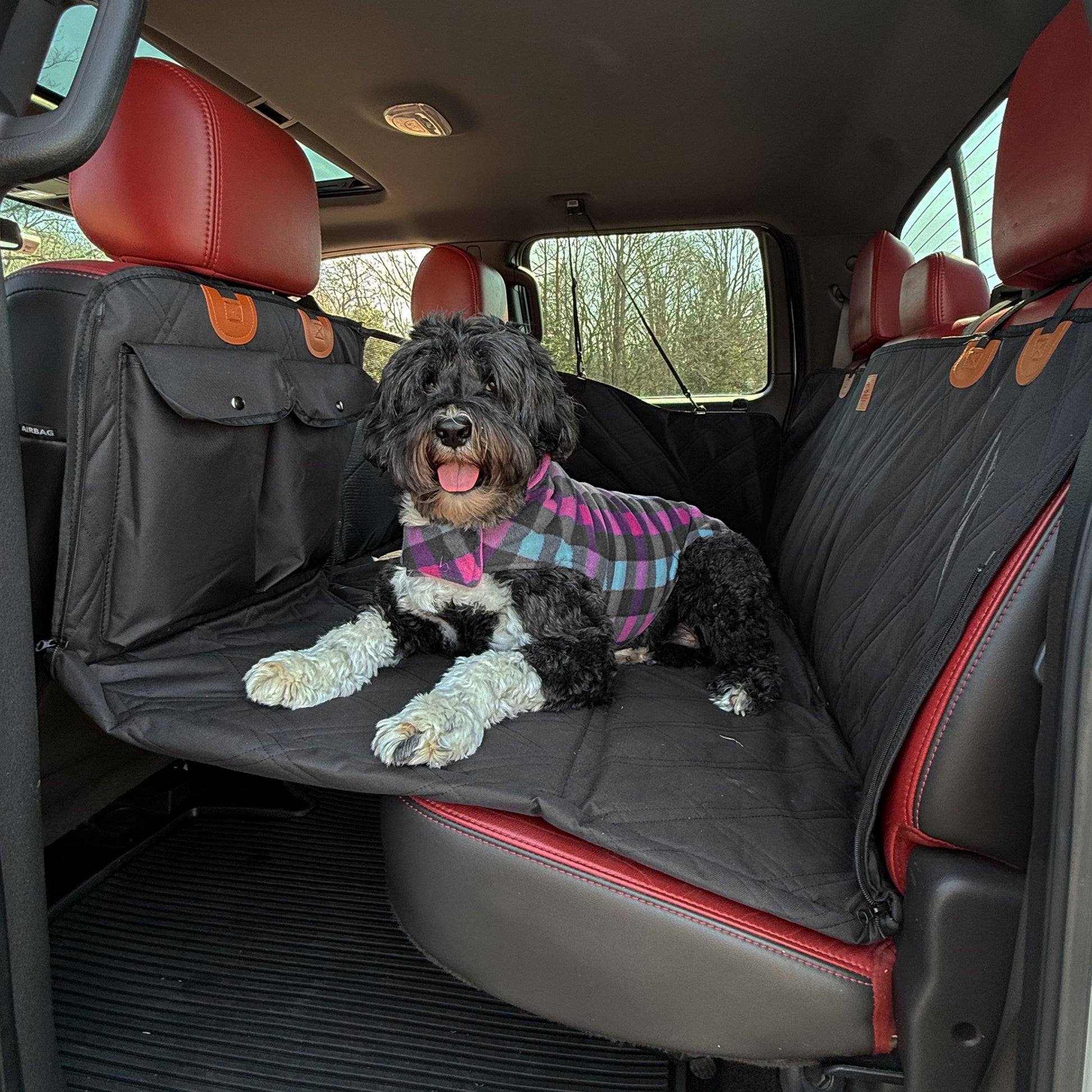 Car Backseat Extender For Dogs