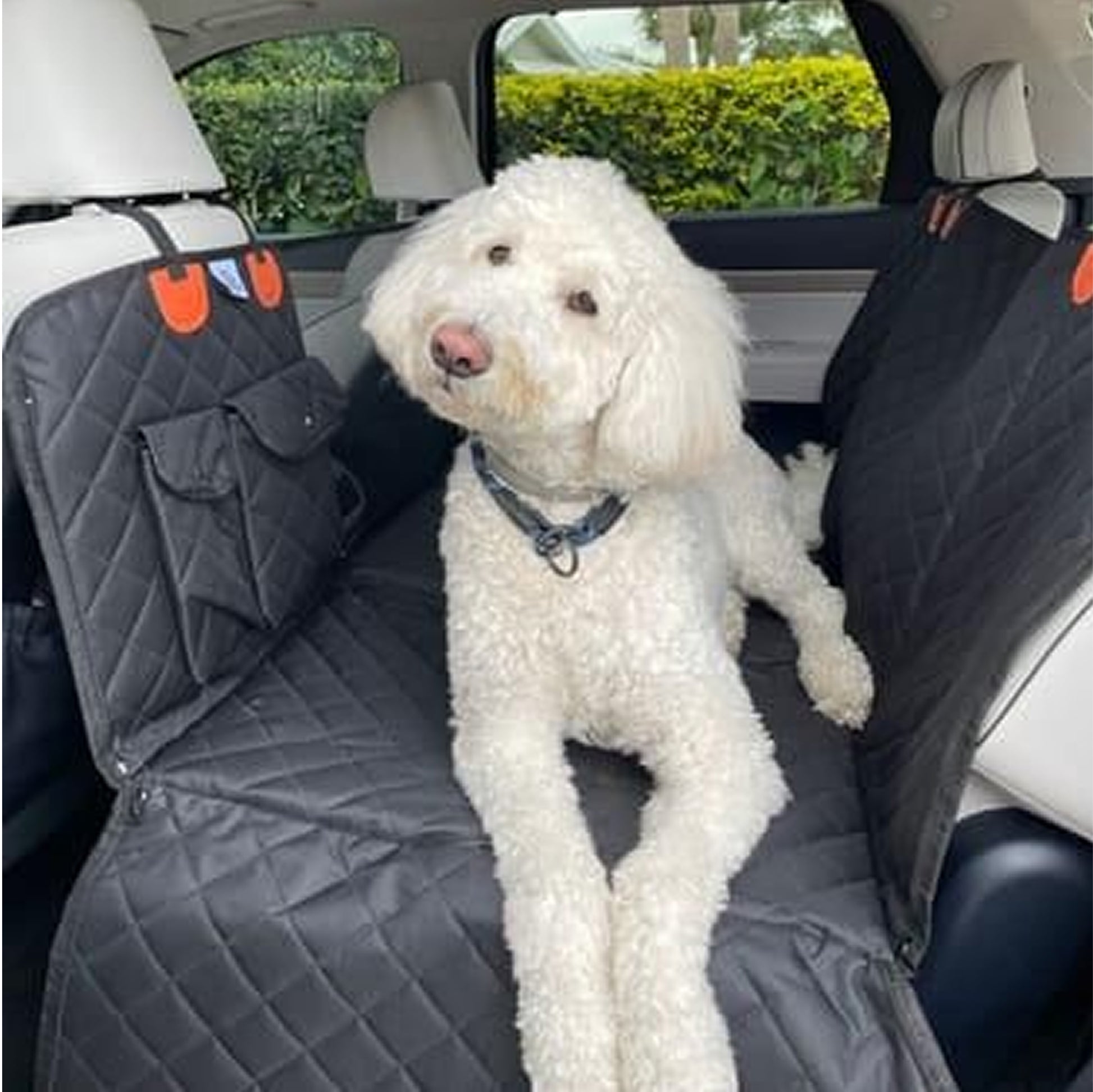 rear seat extender for dogs