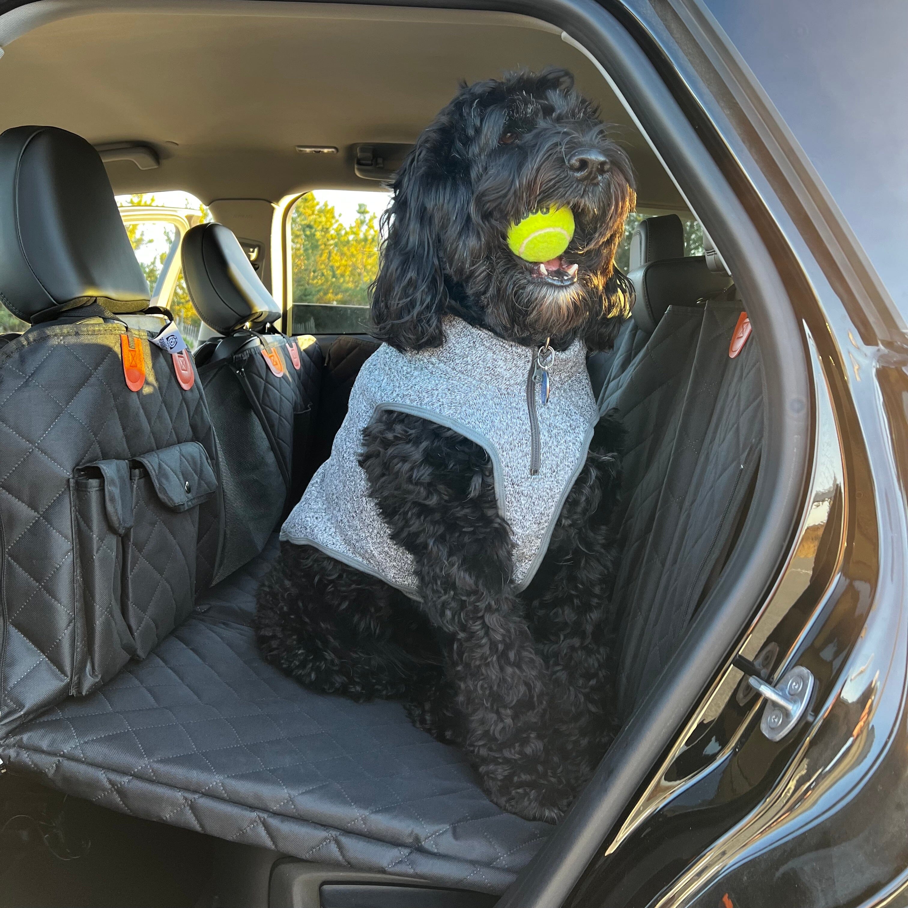 Back seat liner for dogs best sale