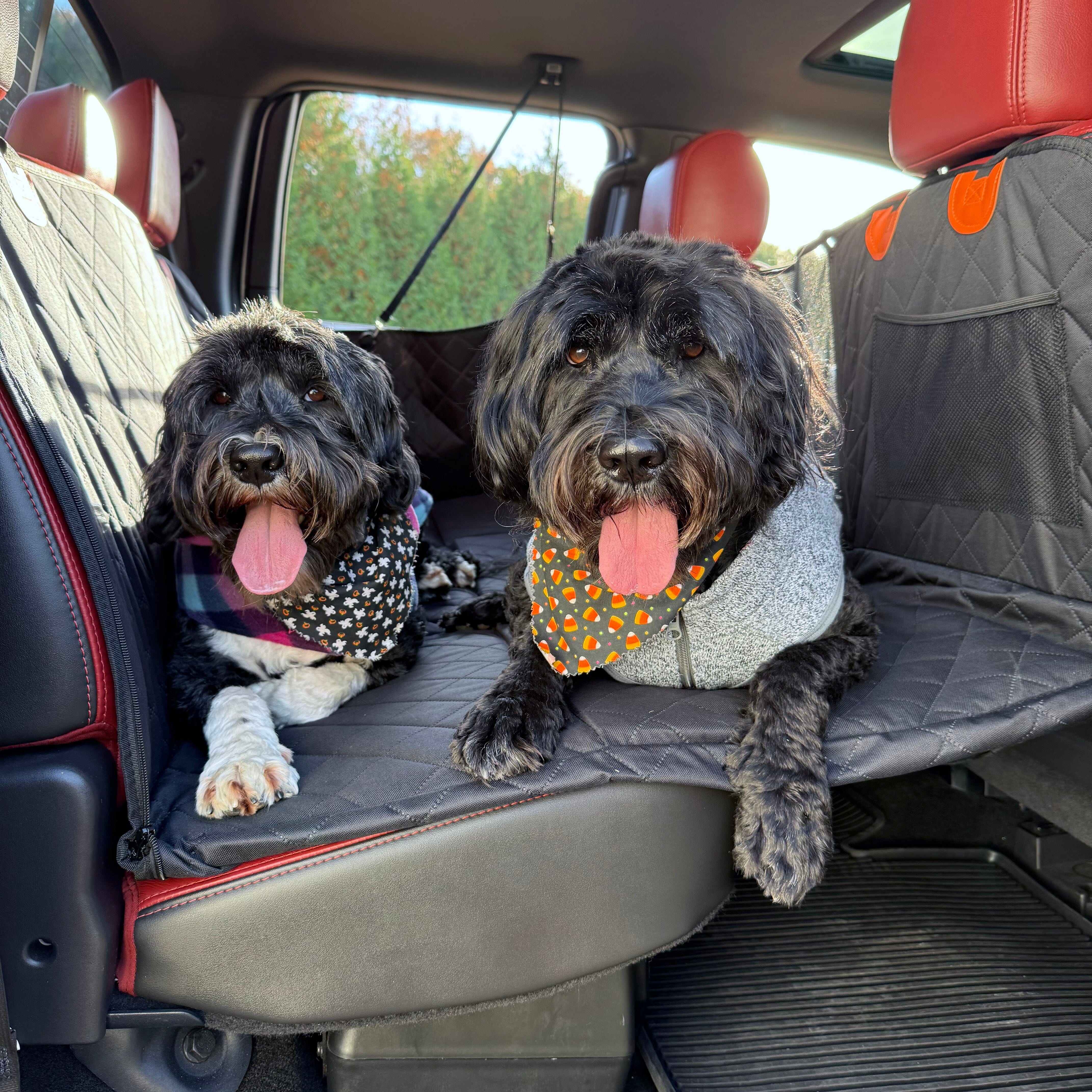 BarkBridge Backseat Extender for Dogs